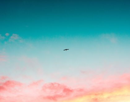 MI CONCIENCIA Y DIOS