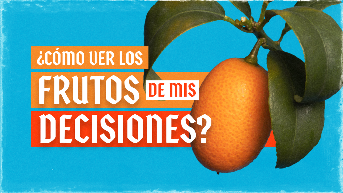 ¿Cómo ver los frutos de mis decisiones?