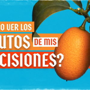 ¿Cómo ver los frutos de mis decisiones?