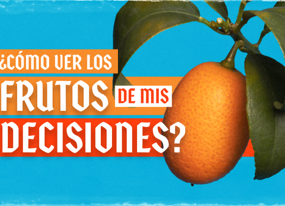¿Cómo ver los frutos de mis decisiones?