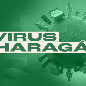 ¡EL VIRUS DEL HARAGÁN!